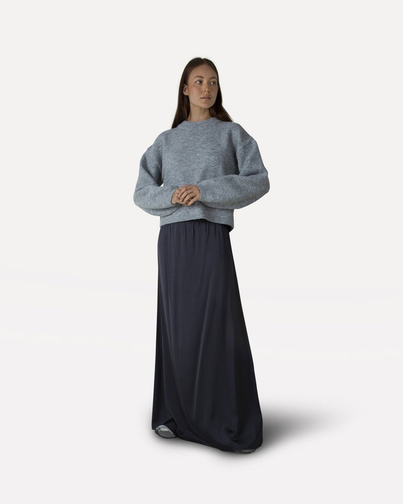 ALLiz skirt - Another - Label
