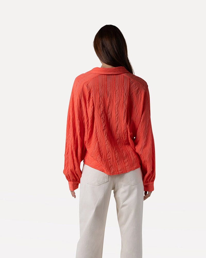 Lilly shirt - Another - Label